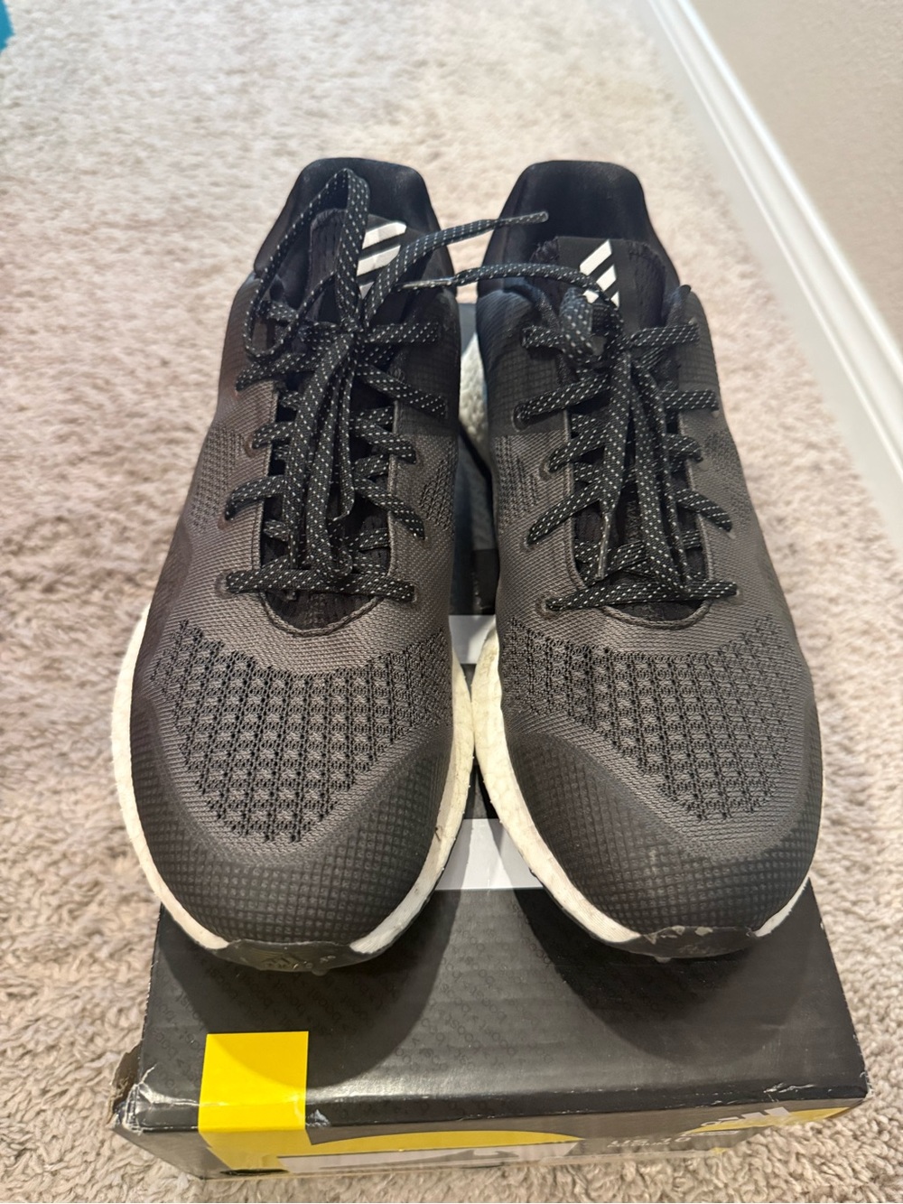 Adidas Crossknit boost - DPR golf Shoes